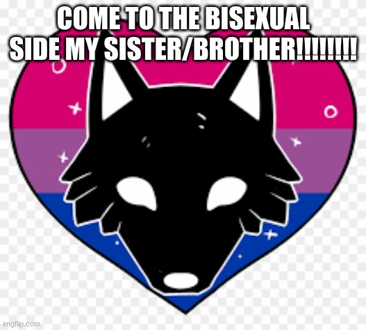 COME TO THE BISEXUAL SIDE MY SISTER/BROTHER!!!!!!!! | made w/ Imgflip meme maker