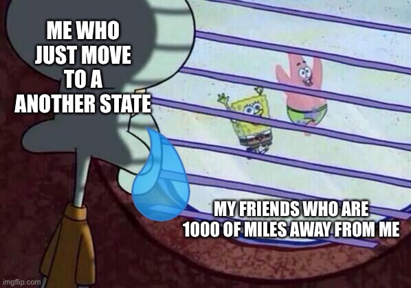 Sad :,( | ME WHO JUST MOVE TO A ANOTHER STATE; MY FRIENDS WHO ARE 1000 OF MILES AWAY FROM ME | image tagged in squidward window | made w/ Imgflip meme maker