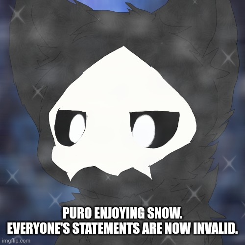 PURO ENJOYING SNOW.
EVERYONE'S STATEMENTS ARE NOW INVALID. | made w/ Imgflip meme maker