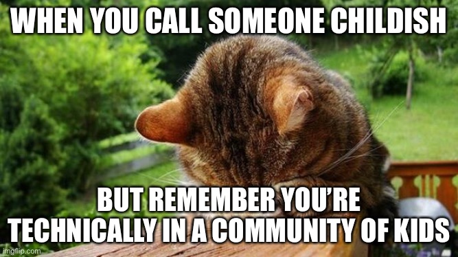 LOL | WHEN YOU CALL SOMEONE CHILDISH; BUT REMEMBER YOU’RE TECHNICALLY IN A COMMUNITY OF KIDS | image tagged in embarrassed cat | made w/ Imgflip meme maker