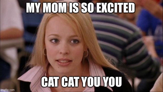 Its Not Going To Happen | MY MOM IS SO EXCITED; CAT CAT YOU YOU | image tagged in memes,its not going to happen | made w/ Imgflip meme maker