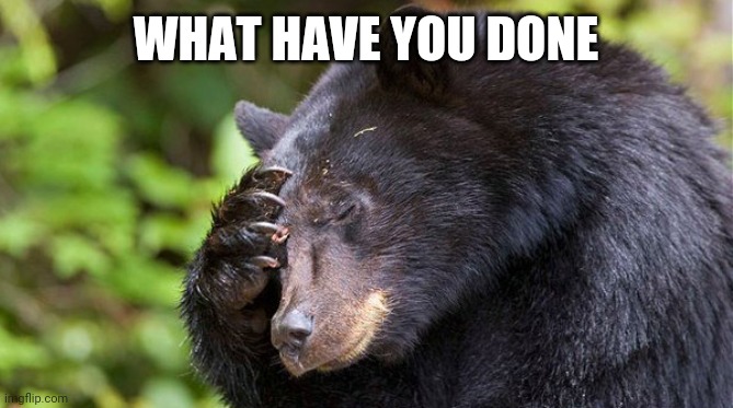 yao, what have you done! bear | WHAT HAVE YOU DONE | image tagged in yao what have you done bear | made w/ Imgflip meme maker