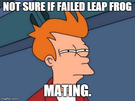 Futurama Fry Meme | NOT SURE IF FAILED LEAP FROG MATING. | image tagged in memes,futurama fry | made w/ Imgflip meme maker