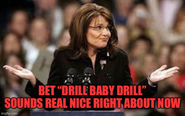 Sarah Palin 5 | BET “DRILL BABY DRILL” SOUNDS REAL NICE RIGHT ABOUT NOW | image tagged in sarah palin 5 | made w/ Imgflip meme maker