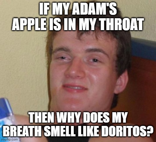 Yum | IF MY ADAM'S APPLE IS IN MY THROAT; THEN WHY DOES MY BREATH SMELL LIKE DORITOS? | image tagged in memes,10 guy,doritos,apple | made w/ Imgflip meme maker