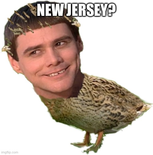 Imjay | NEW JERSEY? | image tagged in imjay | made w/ Imgflip meme maker