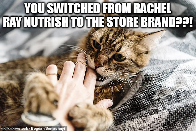 vengeance | YOU SWITCHED FROM RACHEL RAY NUTRISH TO THE STORE BRAND??! | image tagged in memes,cats,meow,ryerrow,hiss,cheap store brand | made w/ Imgflip meme maker