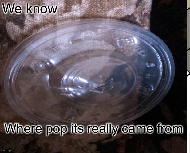 Yesssssssssss! Actually tho | We know; Where pop its really came from | image tagged in so true | made w/ Imgflip meme maker