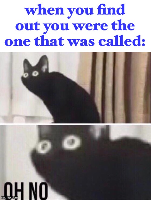 Oh no cat | when you find out you were the one that was called: | image tagged in oh no cat | made w/ Imgflip meme maker