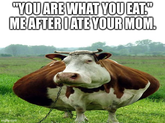 p h a t | "YOU ARE WHAT YOU EAT."
ME AFTER I ATE YOUR MOM. | image tagged in memes,ur mom,funny | made w/ Imgflip meme maker