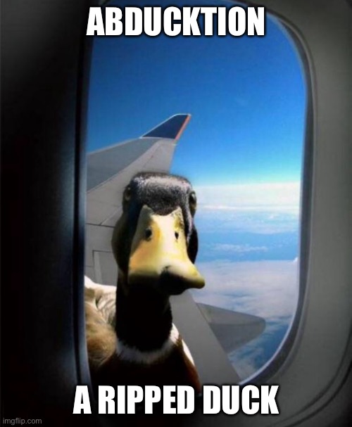 Duck on plane wing | ABDUCKTION A RIPPED DUCK | image tagged in duck on plane wing | made w/ Imgflip meme maker