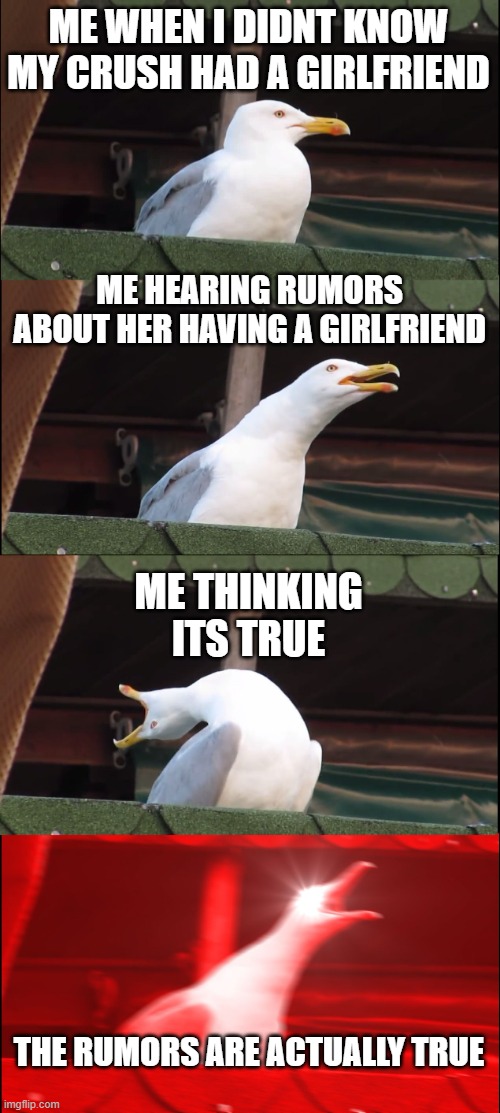 Inhaling Seagull | ME WHEN I DIDNT KNOW MY CRUSH HAD A GIRLFRIEND; ME HEARING RUMORS ABOUT HER HAVING A GIRLFRIEND; ME THINKING ITS TRUE; THE RUMORS ARE ACTUALLY TRUE | image tagged in memes,inhaling seagull | made w/ Imgflip meme maker