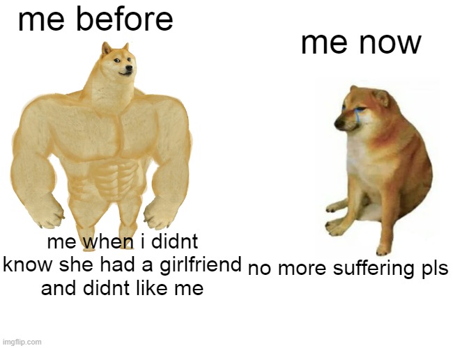 still crying rn lmfao | me before; me now; me when i didnt know she had a girlfriend and didnt like me; no more suffering pls | image tagged in memes,buff doge vs cheems | made w/ Imgflip meme maker