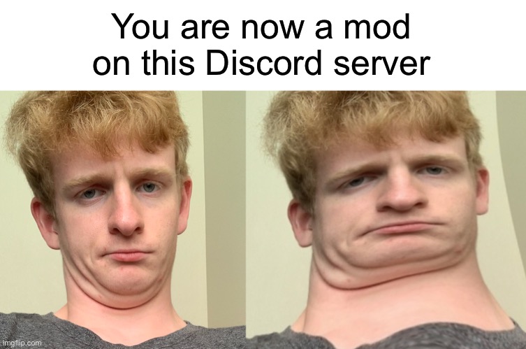What, is it not fat enough? | You are now a mod on this Discord server | image tagged in funny | made w/ Imgflip meme maker