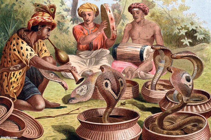 Snake charmer | image tagged in snake charmer | made w/ Imgflip meme maker