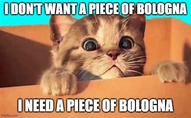 I DON'T WANT A PIECE OF BOLOGNA; I NEED A PIECE OF BOLOGNA | image tagged in funny cats,humor,animals | made w/ Imgflip meme maker