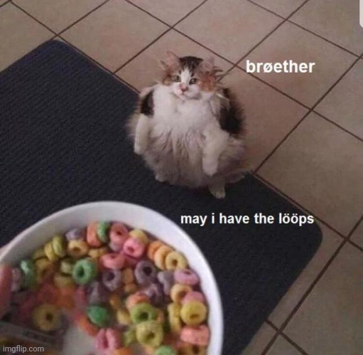 a loop once bit my sister | image tagged in cats,memes | made w/ Imgflip meme maker