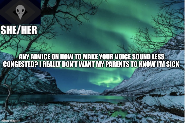 Northern Lights Termcollector Template | ANY ADVICE ON HOW TO MAKE YOUR VOICE SOUND LESS CONGESTED? I REALLY DON’T WANT MY PARENTS TO KNOW I’M SICK | image tagged in northern lights termcollector template | made w/ Imgflip meme maker