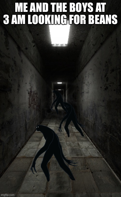 Me and the boys at 3 am looking for beans | ME AND THE BOYS AT 3 AM LOOKING FOR BEANS | image tagged in hallway,beans | made w/ Imgflip meme maker