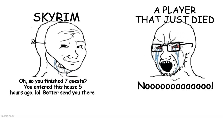 Skyrim in a nutshell | A PLAYER THAT JUST DIED; SKYRIM; Nooooooooooooo! Oh, so you finished 7 quests? You entered this house 5 hours ago, lol. Better send you there. | image tagged in skyrim | made w/ Imgflip meme maker