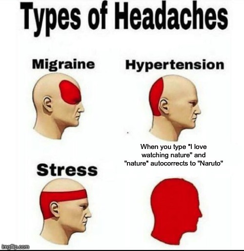 Types of Headaches meme |  When you type "I love watching nature" and "nature" autocorrects to "Naruto" | image tagged in types of headaches meme | made w/ Imgflip meme maker