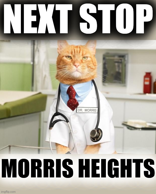 Cat Doctor | NEXT STOP MORRIS HEIGHTS | image tagged in cat doctor | made w/ Imgflip meme maker