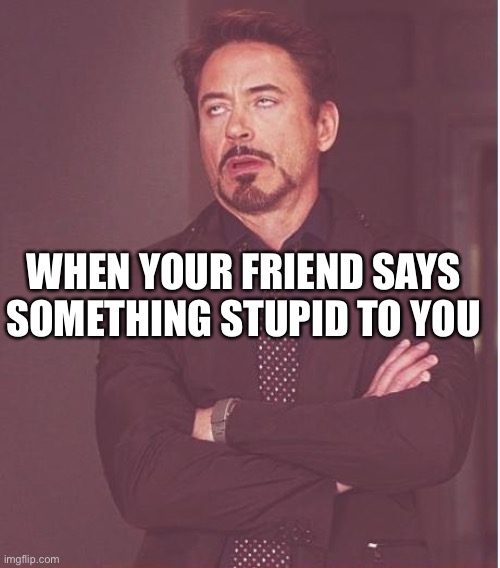 Face You Make Robert Downey Jr | WHEN YOUR FRIEND SAYS SOMETHING STUPID TO YOU | image tagged in memes,face you make robert downey jr | made w/ Imgflip meme maker