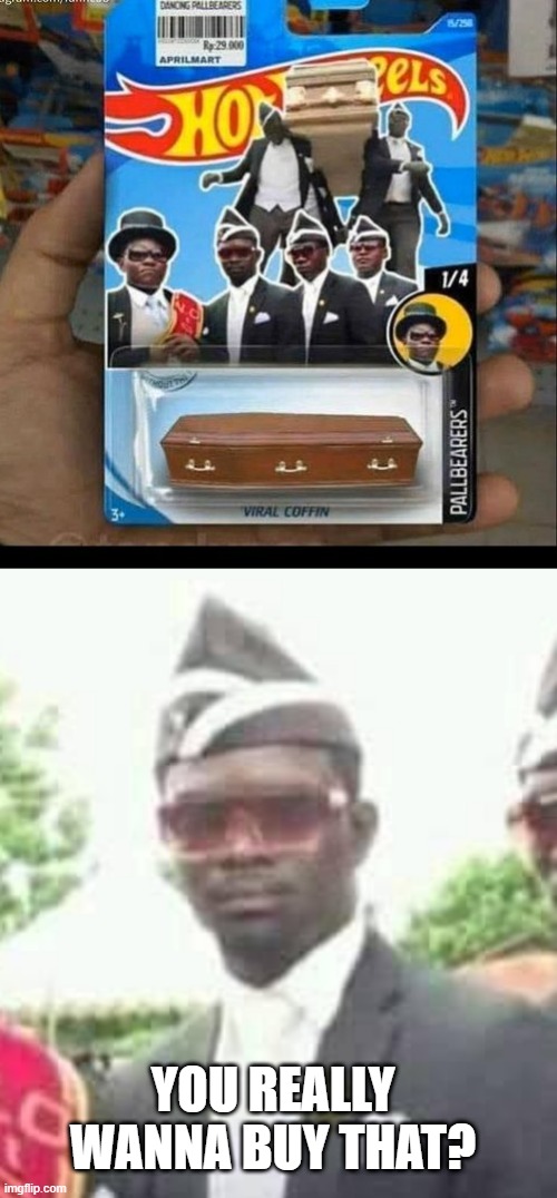 YOU'LL BE NEXT TO DO THE COFFIN DANCE | YOU REALLY WANNA BUY THAT? | image tagged in coffin dance,hot wheels,coffin,coffin meme | made w/ Imgflip meme maker