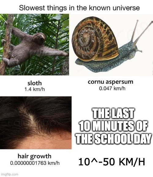 seriously, every minute of this feels like an hour... | THE LAST 10 MINUTES OF THE SCHOOL DAY; 10^-50 KM/H | image tagged in slowest things,school,memes | made w/ Imgflip meme maker
