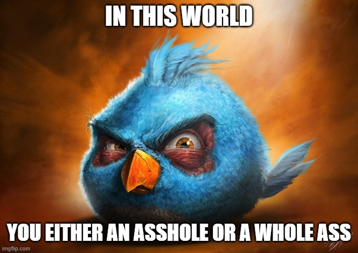 angry birds blue | IN THIS WORLD; YOU EITHER AN ASSHOLE OR A WHOLE ASS | image tagged in angry birds blue | made w/ Imgflip meme maker