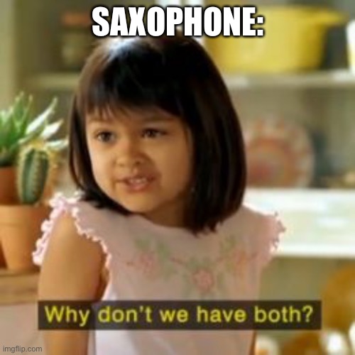 Why not both? | SAXOPHONE: | image tagged in why not both | made w/ Imgflip meme maker