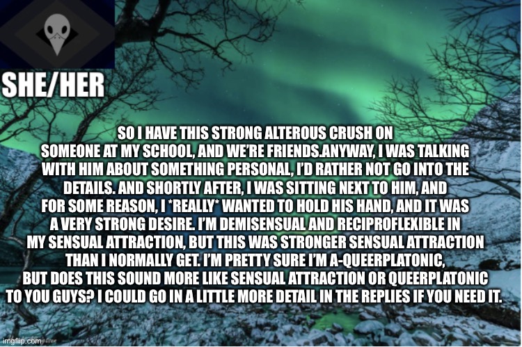 Northern Lights Termcollector Template | SO I HAVE THIS STRONG ALTEROUS CRUSH ON SOMEONE AT MY SCHOOL, AND WE’RE FRIENDS.ANYWAY, I WAS TALKING WITH HIM ABOUT SOMETHING PERSONAL, I’D RATHER NOT GO INTO THE DETAILS. AND SHORTLY AFTER, I WAS SITTING NEXT TO HIM, AND FOR SOME REASON, I *REALLY* WANTED TO HOLD HIS HAND, AND IT WAS A VERY STRONG DESIRE. I’M DEMISENSUAL AND RECIPROFLEXIBLE IN MY SENSUAL ATTRACTION, BUT THIS WAS STRONGER SENSUAL ATTRACTION THAN I NORMALLY GET. I’M PRETTY SURE I’M A-QUEERPLATONIC, BUT DOES THIS SOUND MORE LIKE SENSUAL ATTRACTION OR QUEERPLATONIC TO YOU GUYS? I COULD GO IN A LITTLE MORE DETAIL IN THE REPLIES IF YOU NEED IT. | image tagged in northern lights termcollector template | made w/ Imgflip meme maker