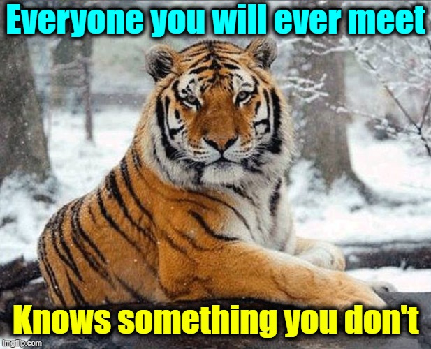 The Wise Tiger sez... | Everyone you will ever meet; Knows something you don't | image tagged in vince vance,cats,big cats,tigers,wisdom,memes | made w/ Imgflip meme maker