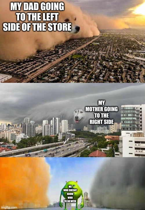 Dust doge storms and Mikey caught in the middle | MY DAD GOING TO THE LEFT SIDE OF THE STORE; MY MOTHER GOING TO THE RIGHT SIDE; ME WHO DOESNT KNOW WHO TO GO WITH | image tagged in dust doge storms and mikey caught in the middle | made w/ Imgflip meme maker