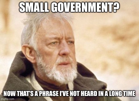 Obi Wan Kenobi Meme | SMALL GOVERNMENT? NOW THAT’S A PHRASE I’VE NOT HEARD IN A LONG TIME | image tagged in memes,obi wan kenobi | made w/ Imgflip meme maker