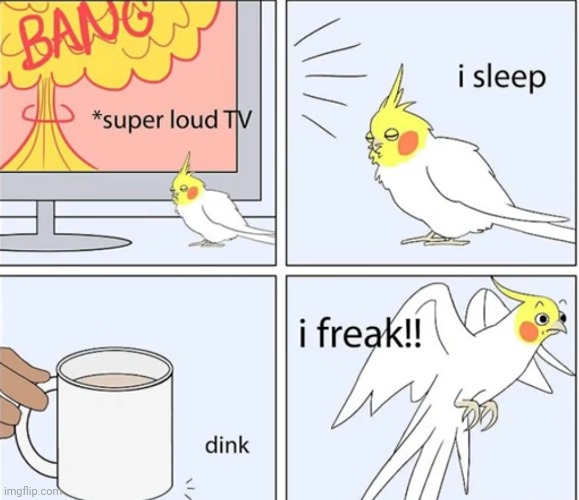 Birss | image tagged in comics | made w/ Imgflip meme maker