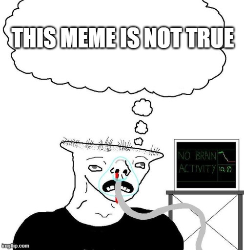 No brain activity | THIS MEME IS NOT TRUE | image tagged in no brain activity | made w/ Imgflip meme maker