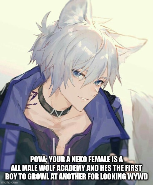 POVA; YOUR A NEKO FEMALE IS A ALL MALE WOLF ACADEMY AND HES THE FIRST BOY TO GROWL AT ANOTHER FOR LOOKING WYWD | made w/ Imgflip meme maker