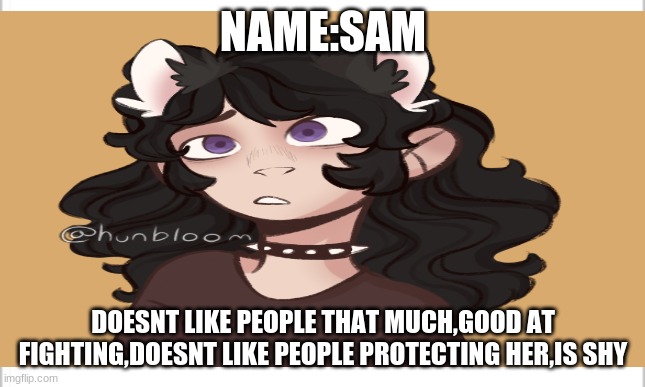 NAME:SAM DOESNT LIKE PEOPLE THAT MUCH,GOOD AT FIGHTING,DOESNT LIKE PEOPLE PROTECTING HER,IS SHY | made w/ Imgflip meme maker