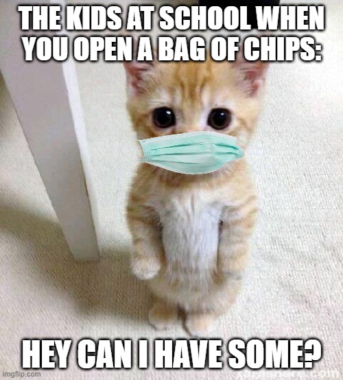 Everyone during 2020-2021 when someone opens that one bag of chips | THE KIDS AT SCHOOL WHEN YOU OPEN A BAG OF CHIPS:; HEY CAN I HAVE SOME? | image tagged in memes,cute cat,kids these days,face mask,2020,2021 | made w/ Imgflip meme maker