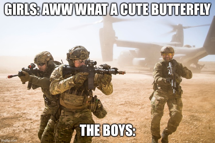 US Military | GIRLS: AWW WHAT A CUTE BUTTERFLY; THE BOYS: | image tagged in us military | made w/ Imgflip meme maker