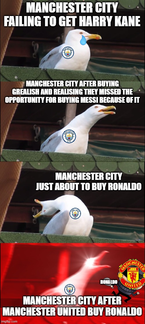 Manchester City 2021 Transfers :D | MANCHESTER CITY FAILING TO GET HARRY KANE; MANCHESTER CITY AFTER BUYING GREALISH AND REALISING THEY MISSED THE OPPORTUNITY FOR BUYING MESSI BECAUSE OF IT; MANCHESTER CITY JUST ABOUT TO BUY RONALDO; RONALDO; MANCHESTER CITY AFTER MANCHESTER UNITED BUY RONALDO | image tagged in memes,inhaling seagull | made w/ Imgflip meme maker