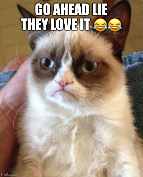 Grumpy Cat Meme | GO AHEAD LIE THEY LOVE IT ?? | image tagged in memes,grumpy cat | made w/ Imgflip meme maker