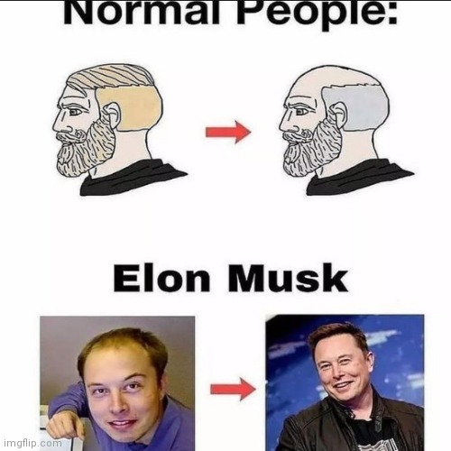 image tagged in elon musk,old,young | made w/ Imgflip meme maker