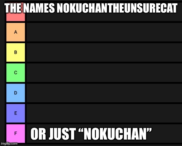 THE NAMES NOKUCHANTHEUNSURECAT; OR JUST “NOKUCHAN” | made w/ Imgflip meme maker