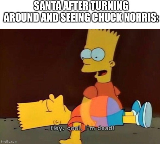 Hey, cool. I'm dead! | SANTA AFTER TURNING AROUND AND SEEING CHUCK NORRIS: | image tagged in hey cool i'm dead | made w/ Imgflip meme maker