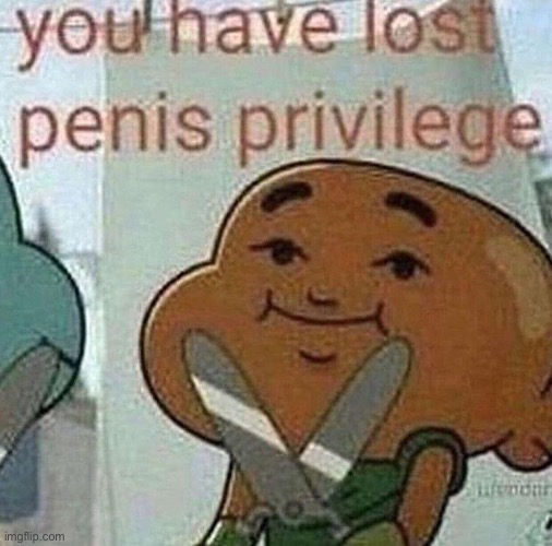 Comment to get them back | image tagged in peen privalage | made w/ Imgflip meme maker
