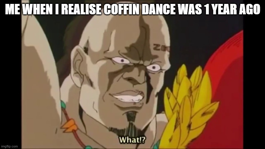 yeah it was only 1 year ago | ME WHEN I REALISE COFFIN DANCE WAS 1 YEAR AGO | image tagged in nani | made w/ Imgflip meme maker