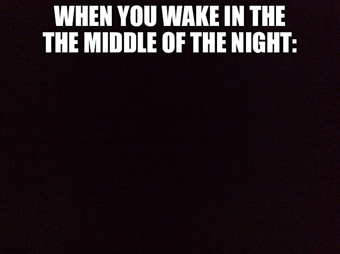 Lol | WHEN YOU WAKE IN THE THE MIDDLE OF THE NIGHT: | image tagged in lol | made w/ Imgflip meme maker