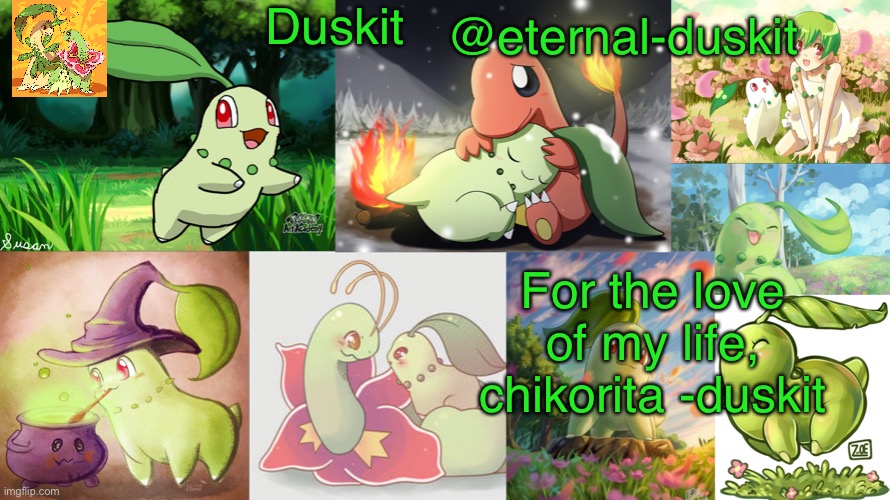 Duskit’s chikorita honor temp Blank Meme Template